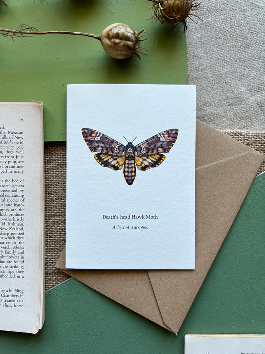 Deaths-head Hawk Moth Card