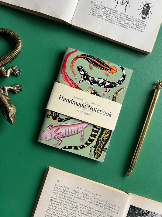Salamander Pocket Notebook