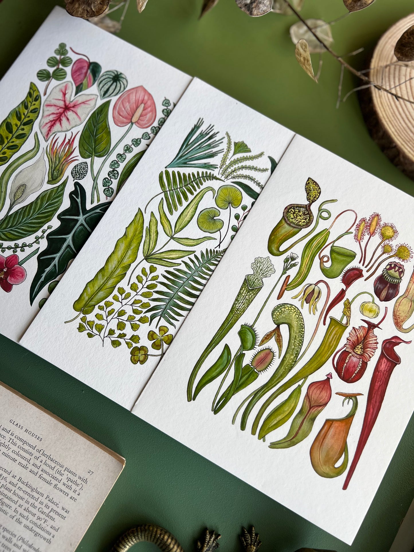 Plants Print Set