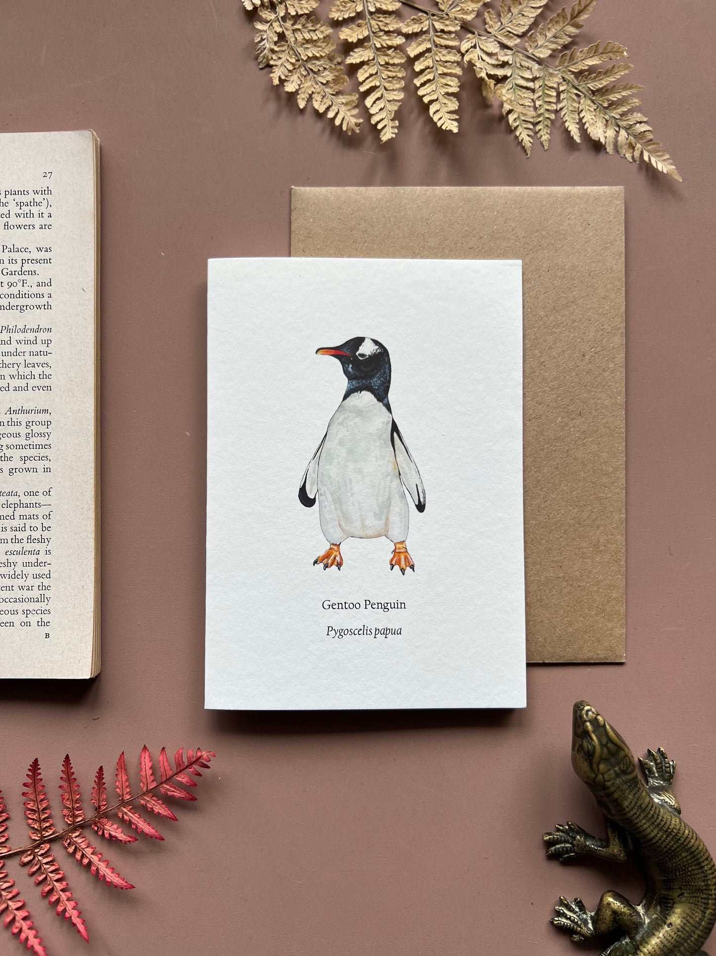 Gentoo Penguin Card