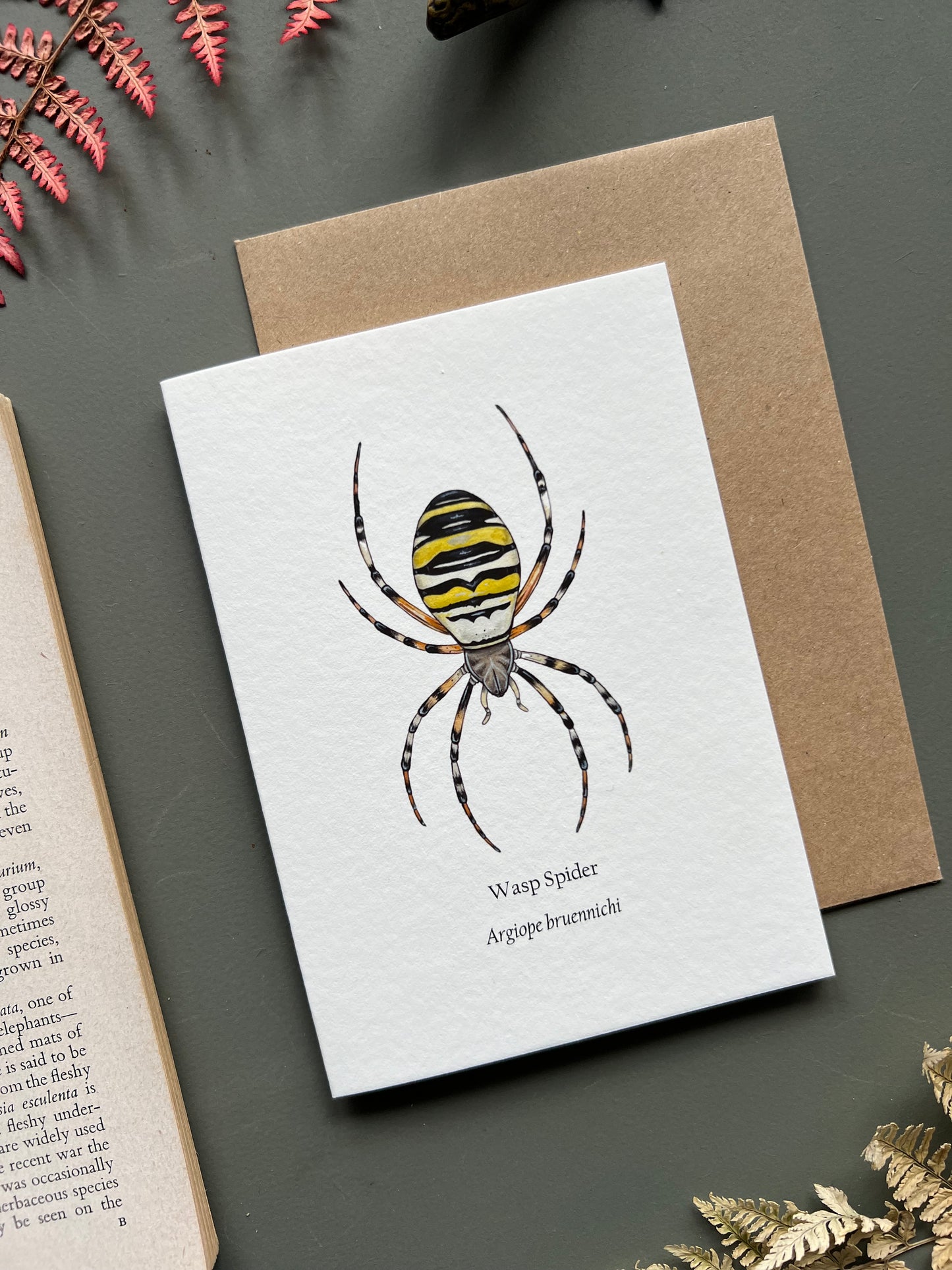 Wasp Spider Card