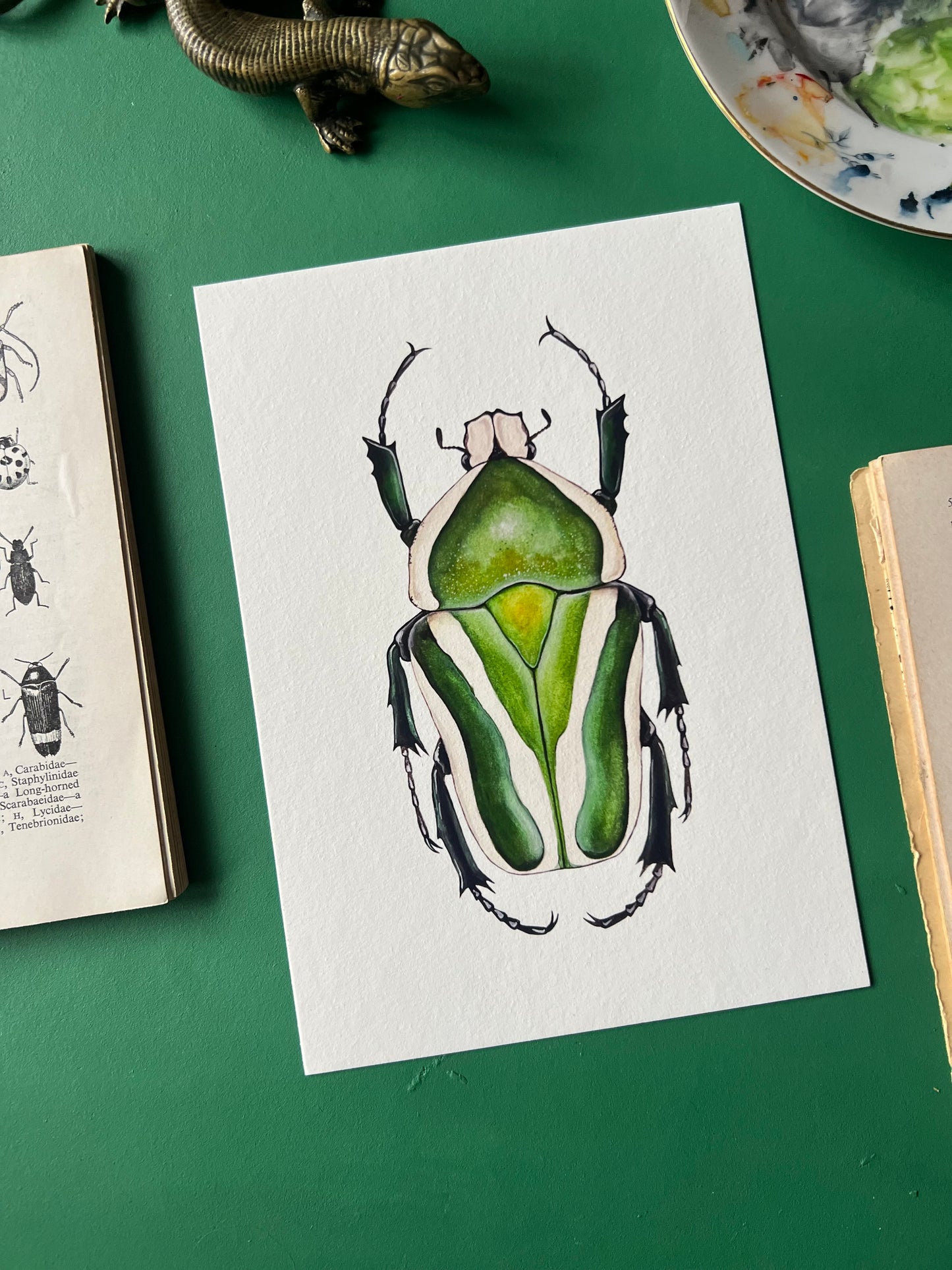 Beetle Print Set