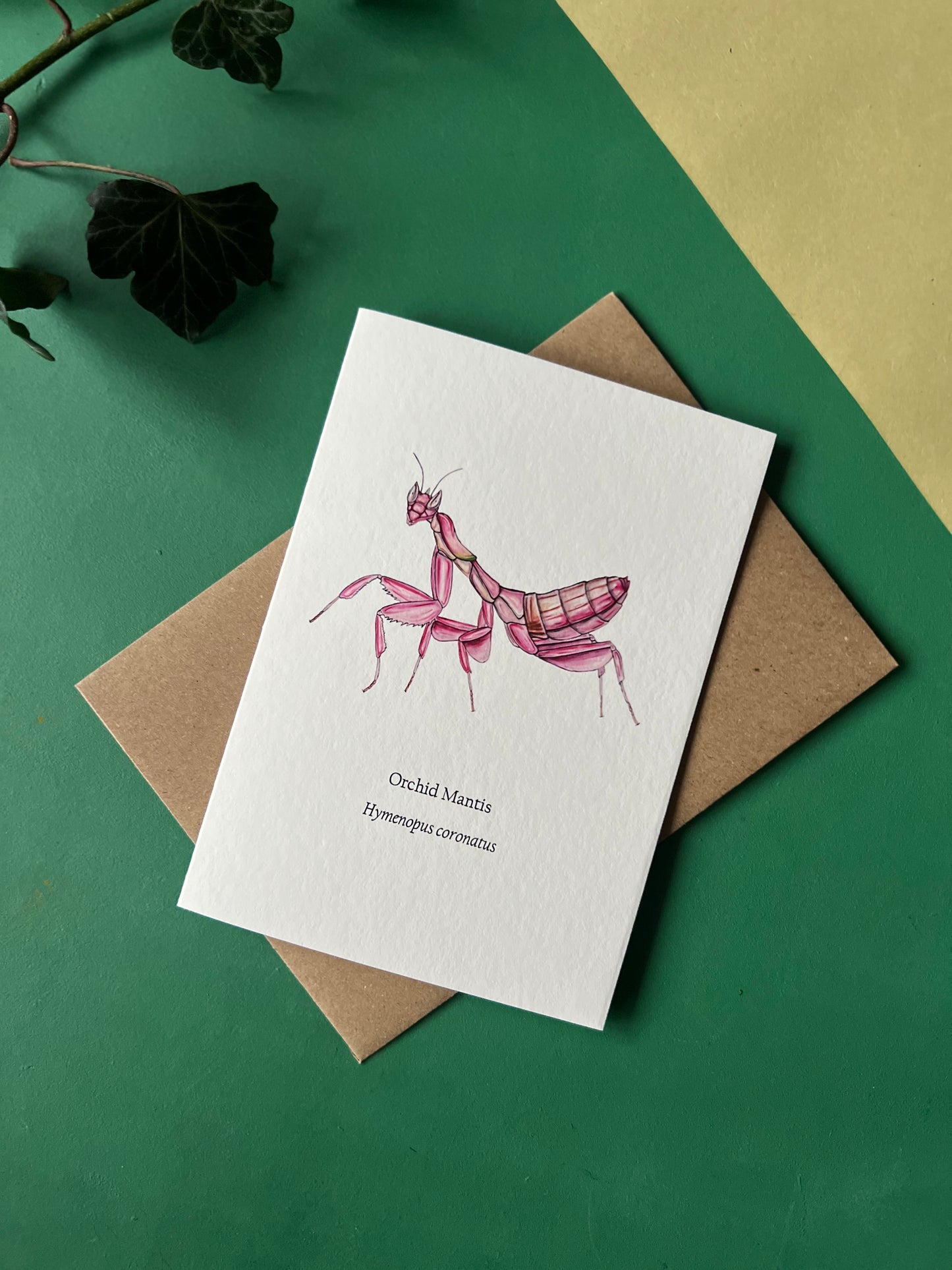 Orchid Mantis Card