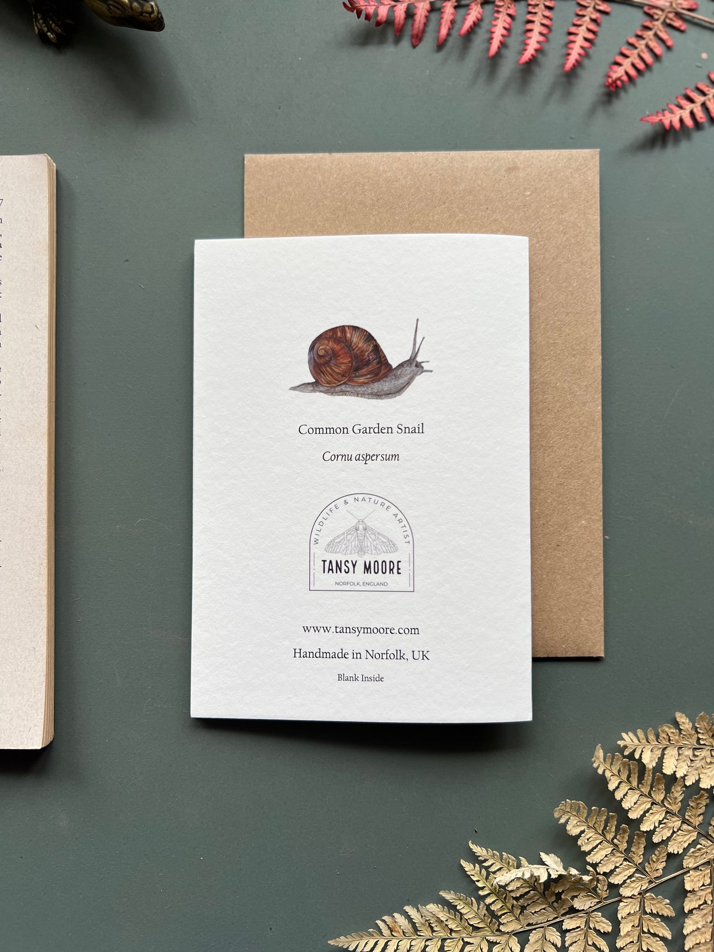 Garden Snail Card