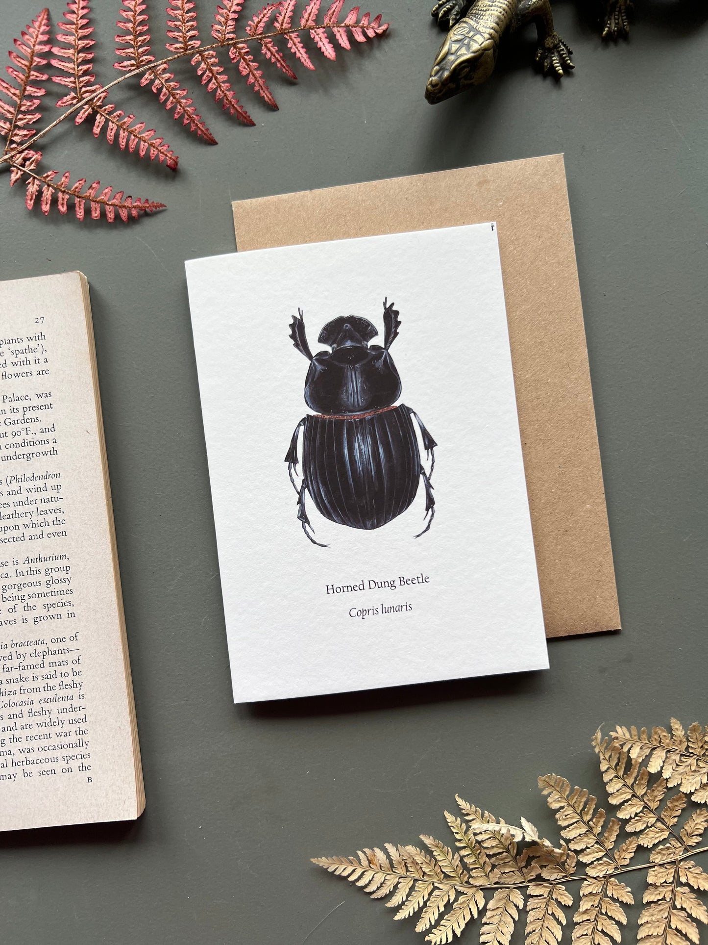 Horned Dung Beetle Card