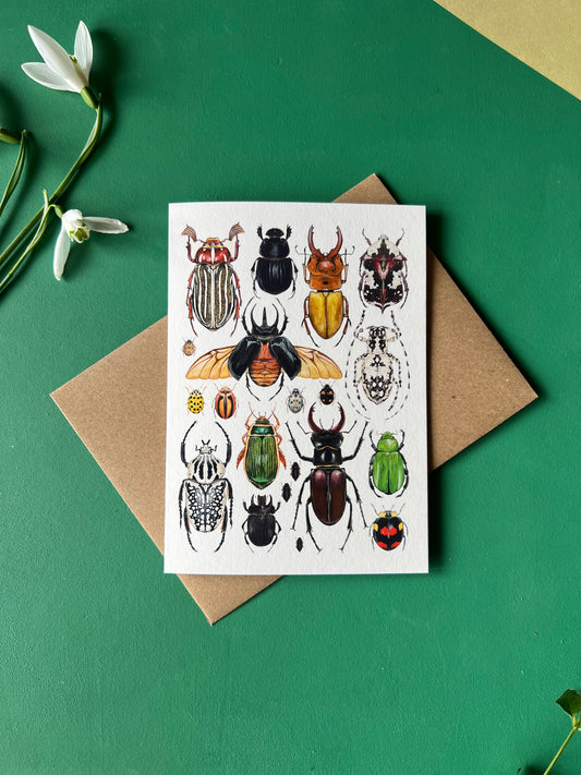 Beetles Card