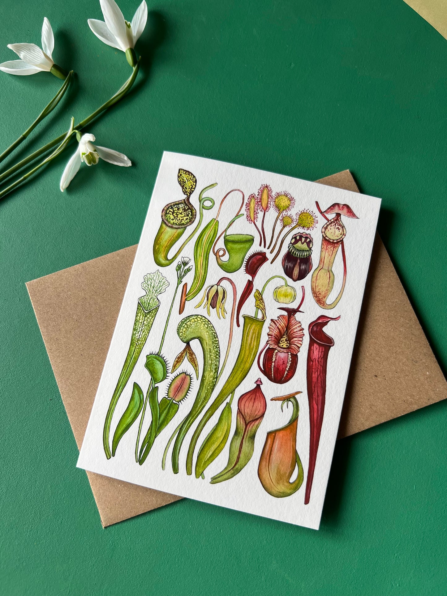 Carnivorous Plants Card