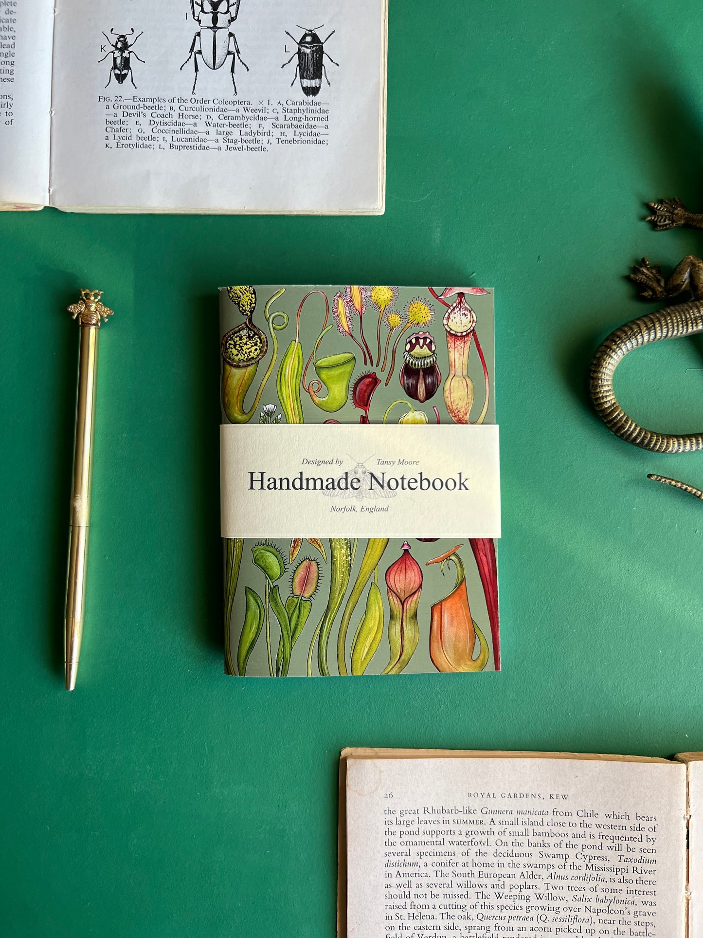 Carnivorous Plants Pocket Notebook