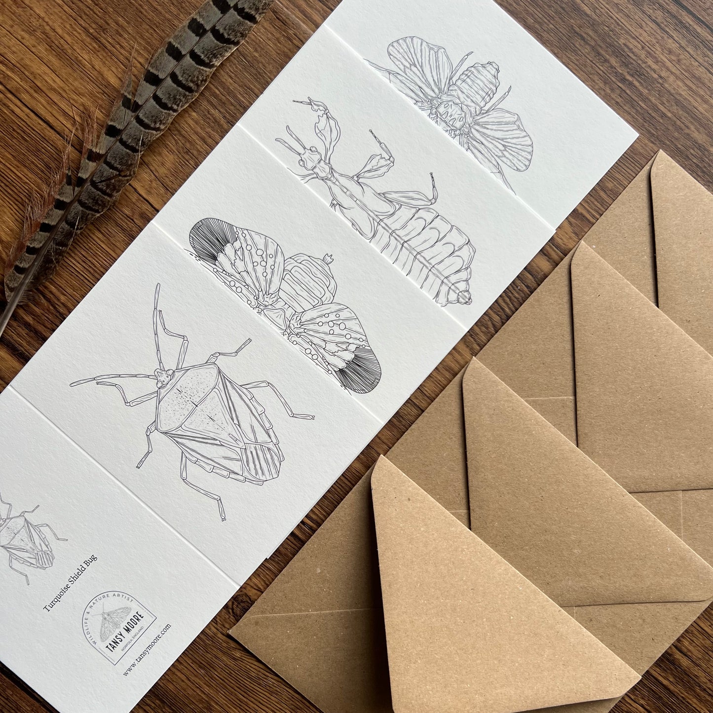 Insects Colouring in Card Set