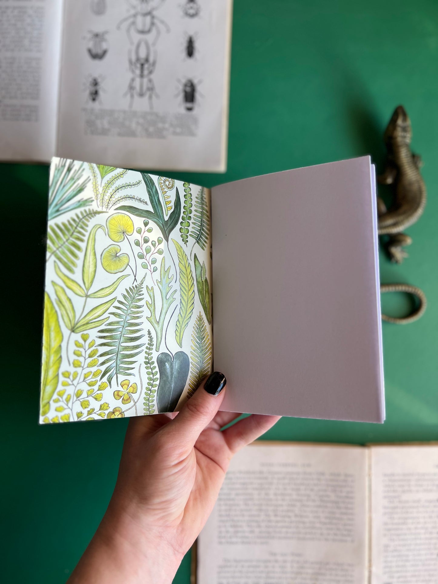 Ferns Pocket Notebook