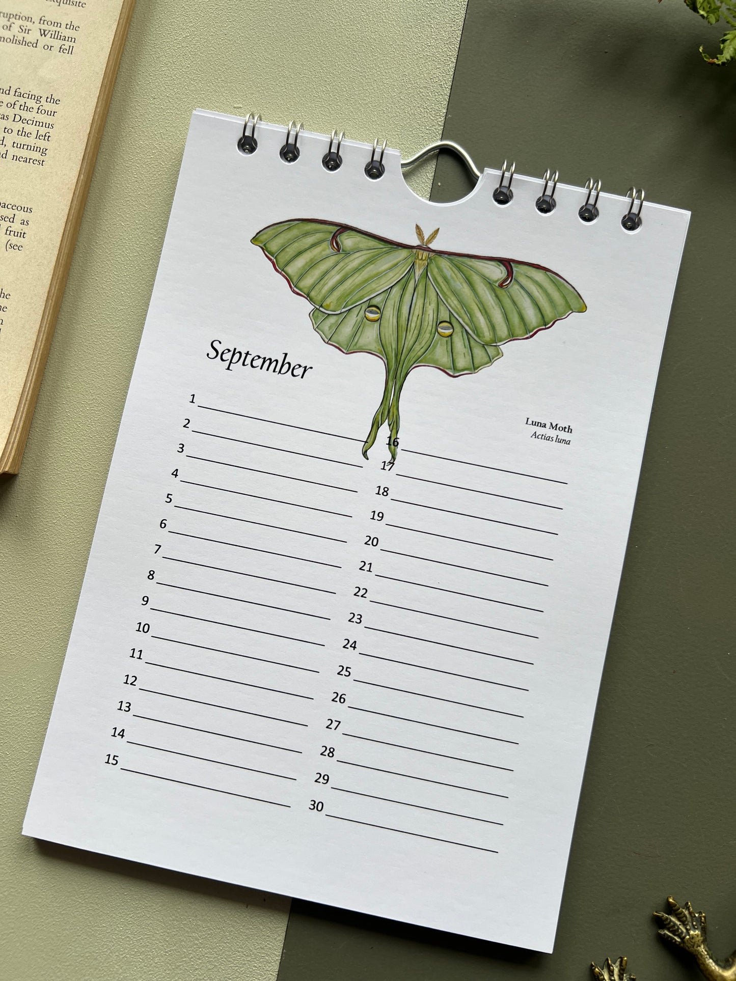 Butterfly and Moth Birthday and Other Important Dates Calendar, Perpetual Calendar