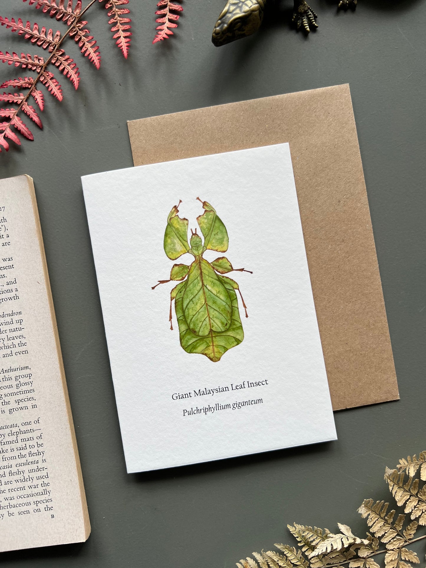 Leaf Insect Card