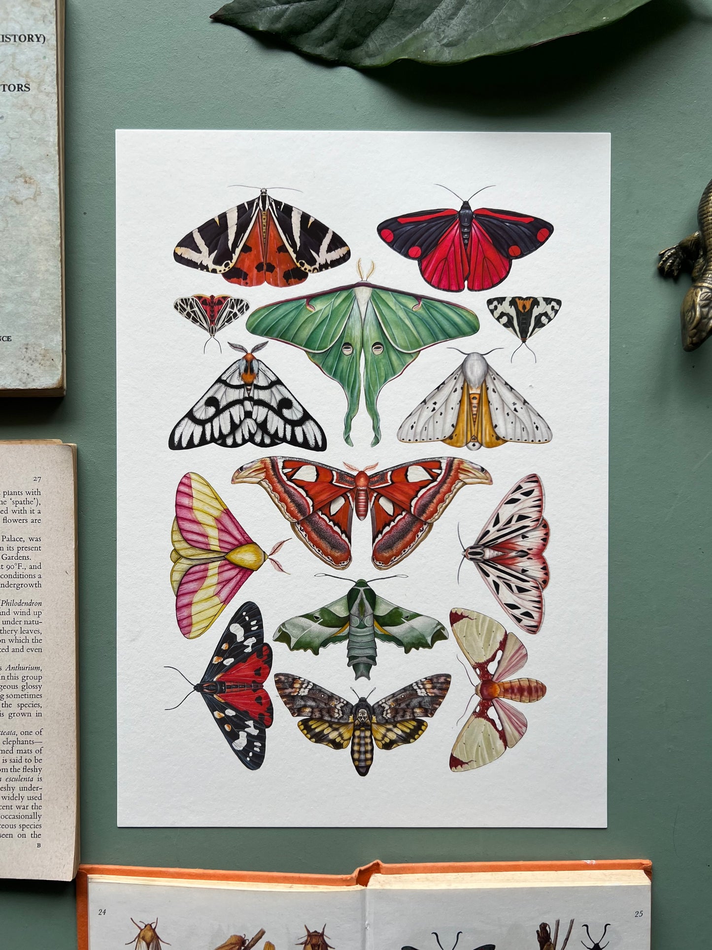 Moths Print