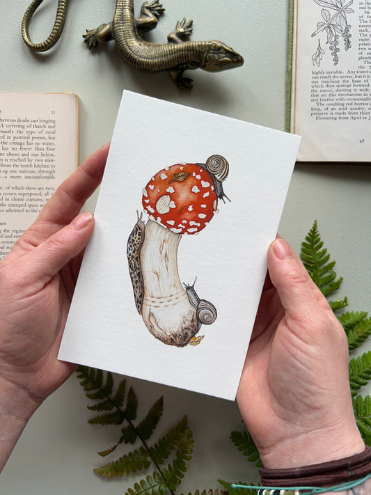 Amanita muscaria, Leopard Slug and White-lipped Grove Snails Print