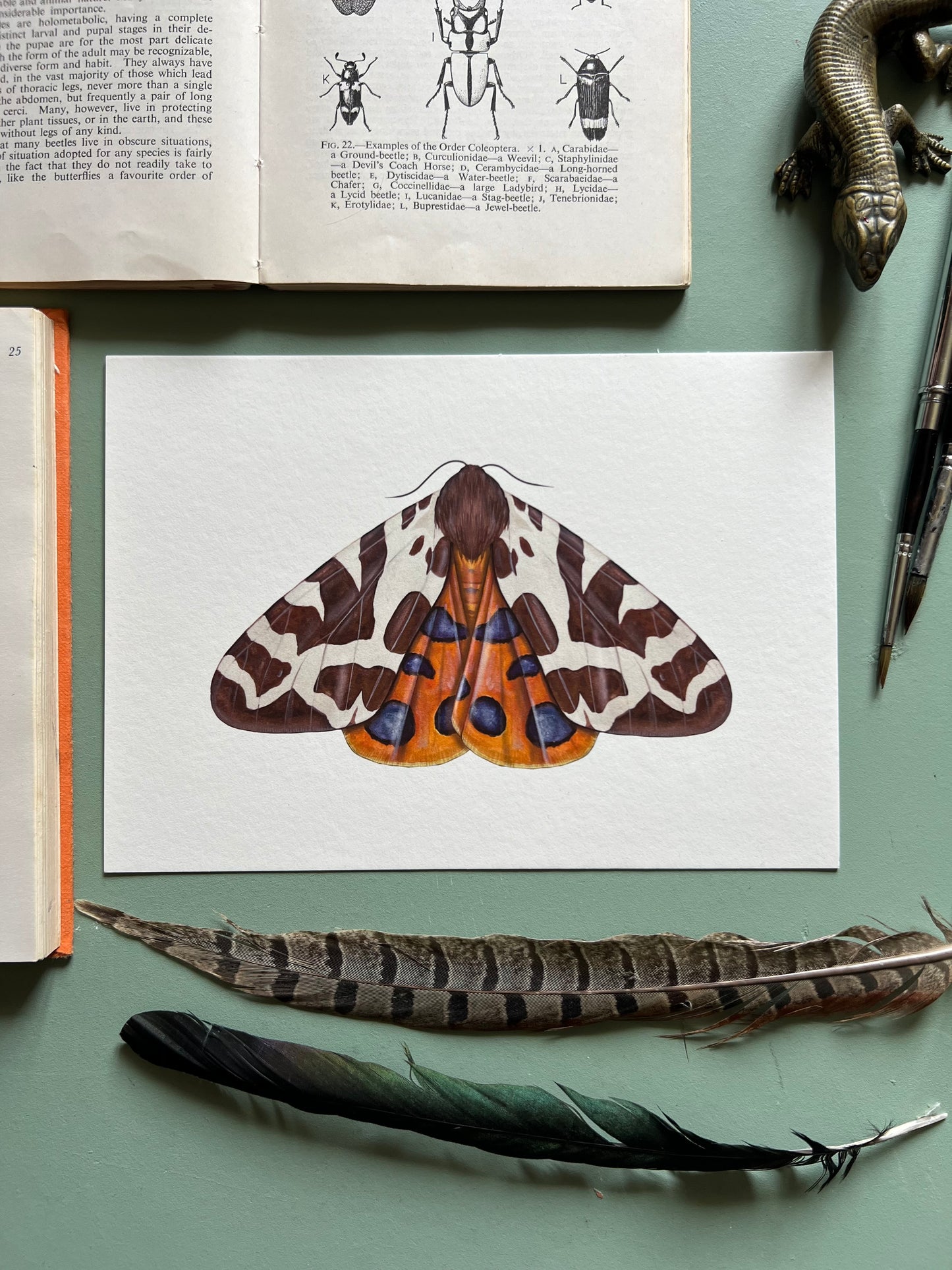 Garden Tiger Moth Print