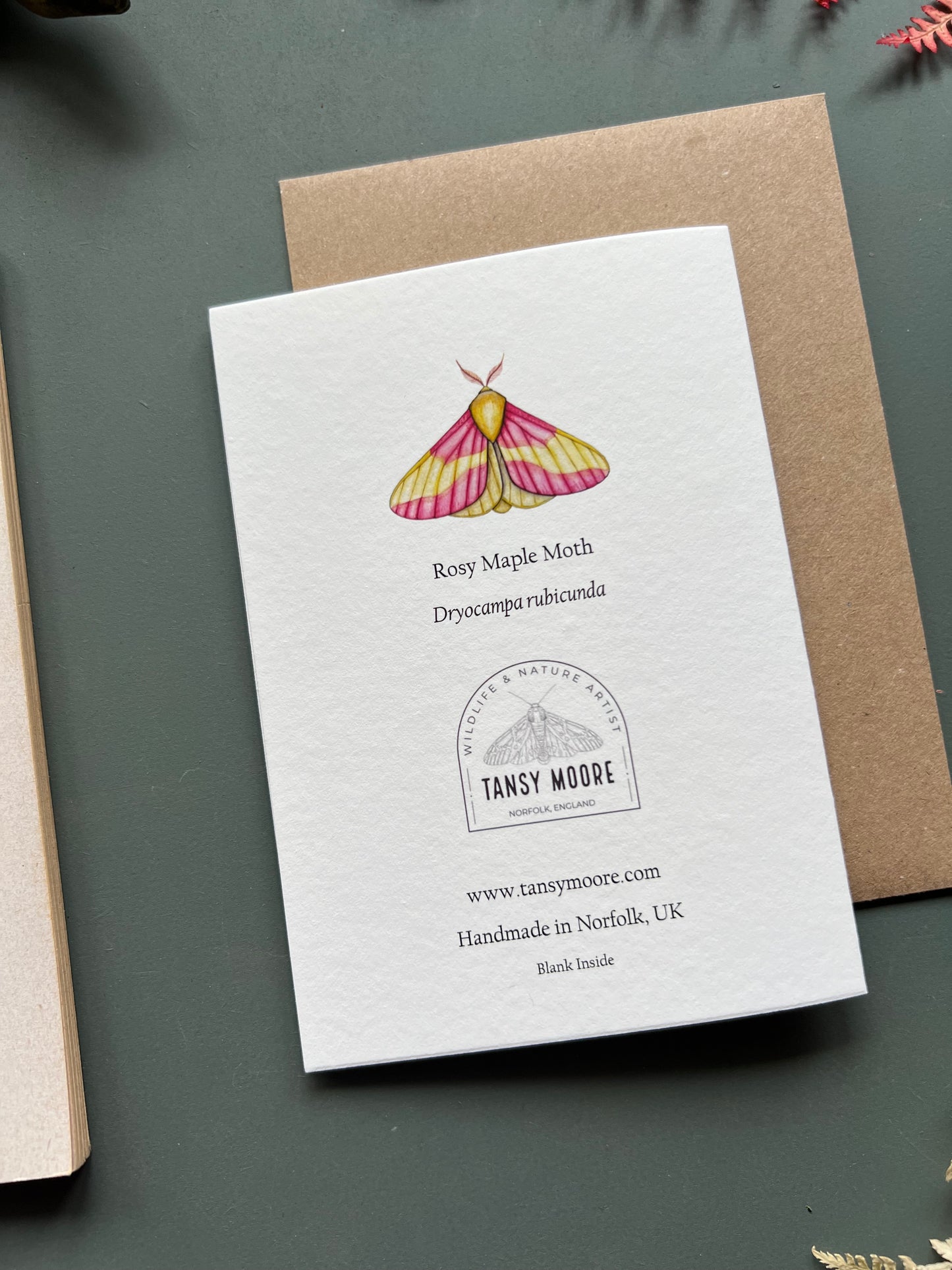 Rosy Maple Moth Card