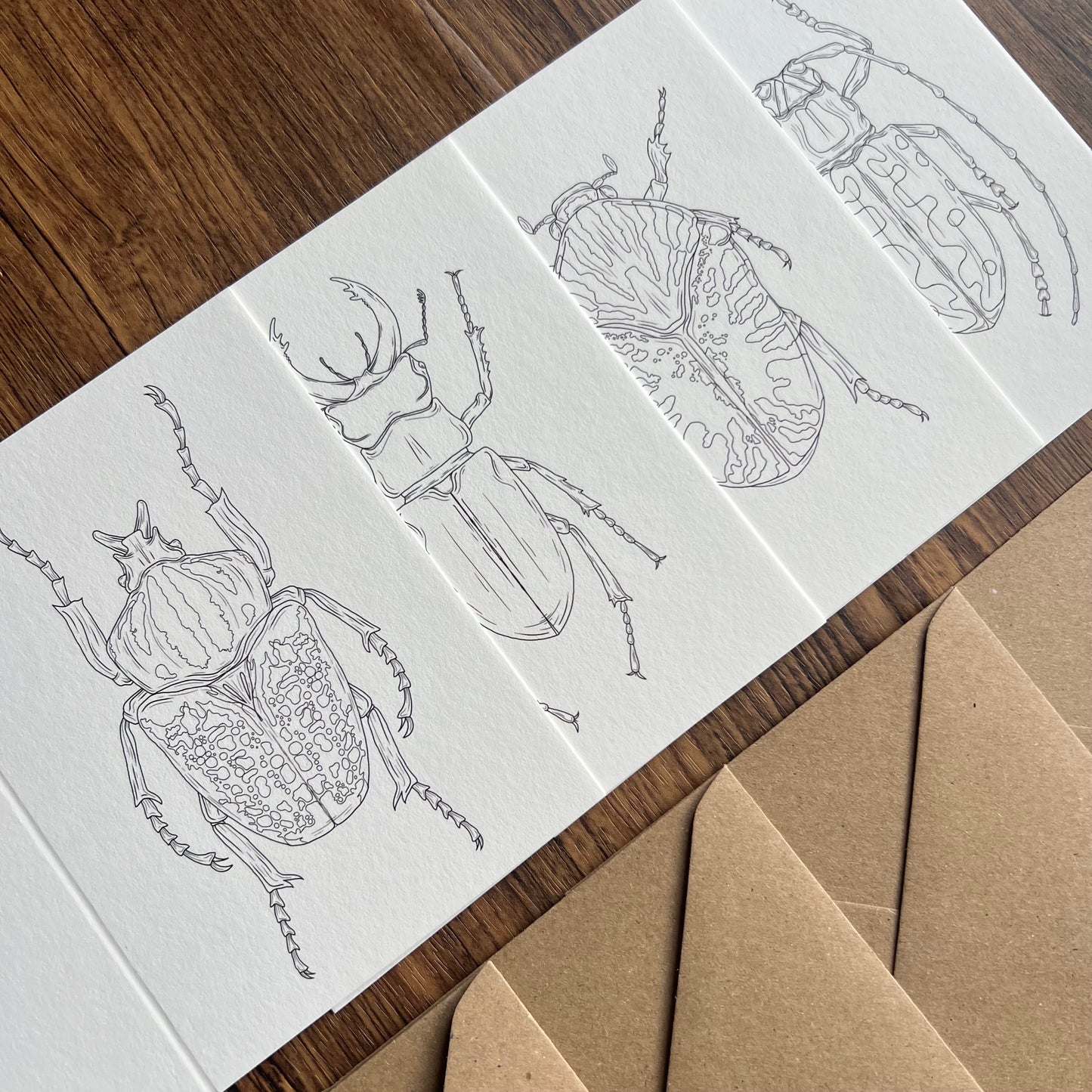 Beetle Colouring in Card Set