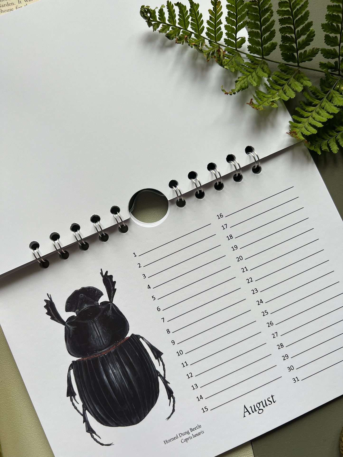 Beetle Birthday and Other Important Dates Calendar, Perpetual Calendar