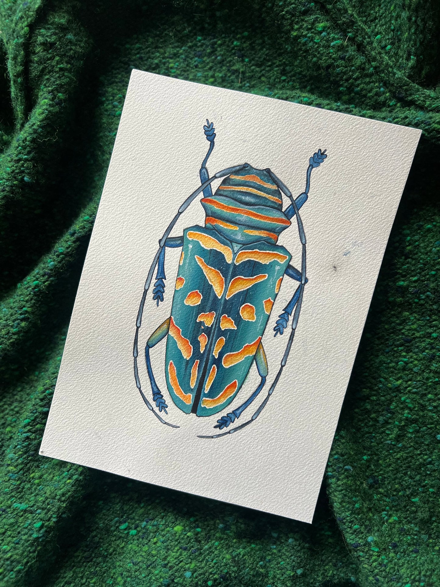 Jewel Longhorn Beetle