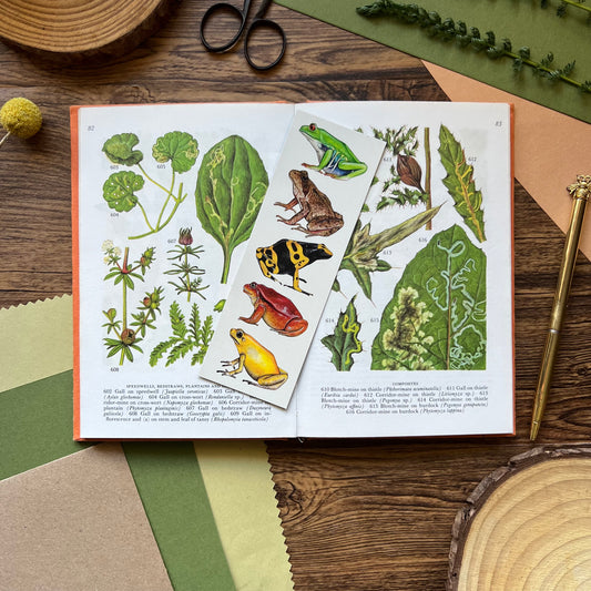 Frog Bookmark