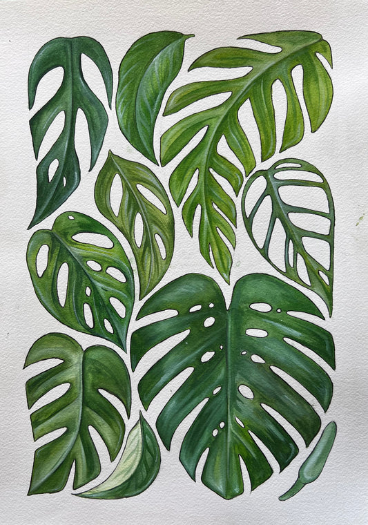 Monsteras 11.7” x 16.5”