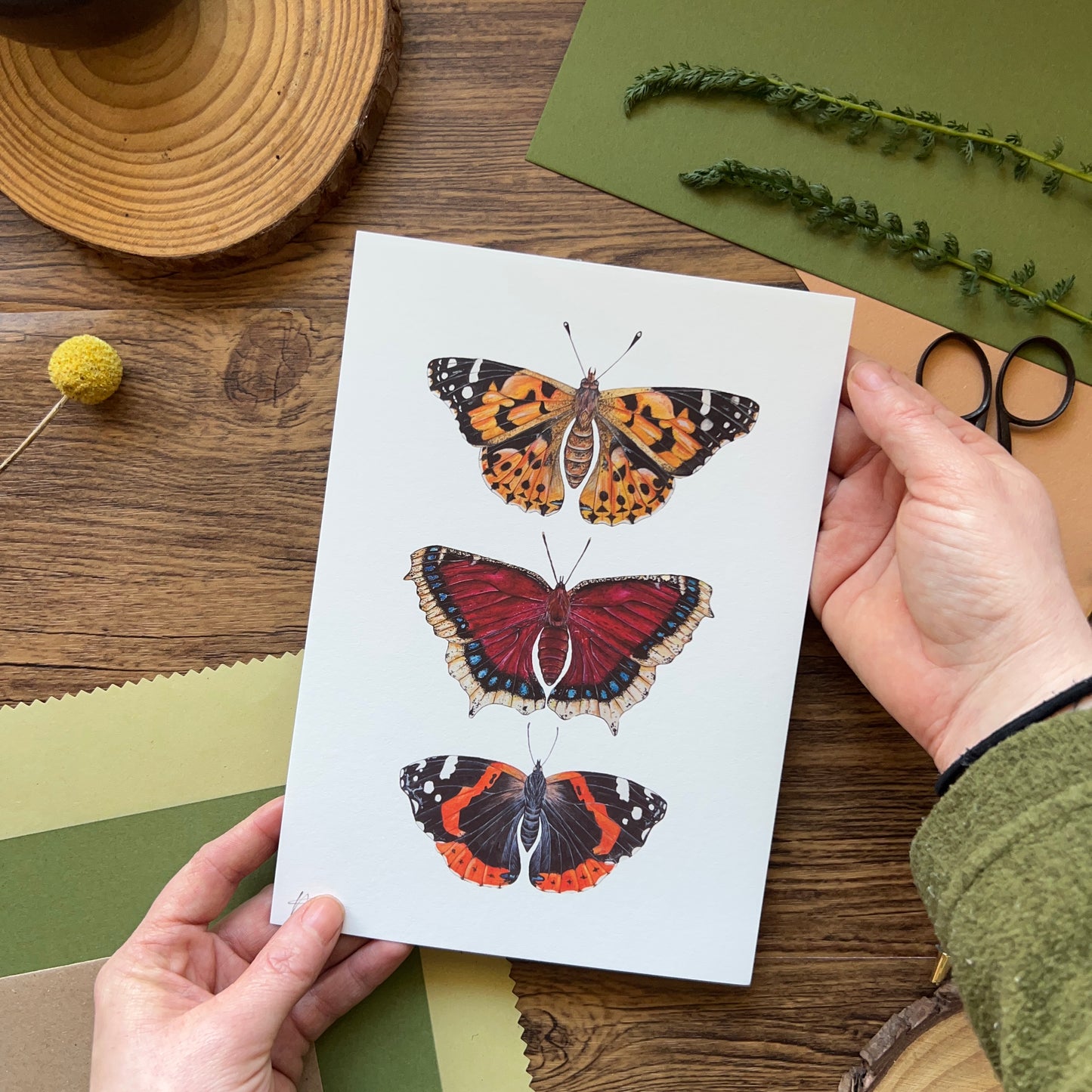 British Butterflies