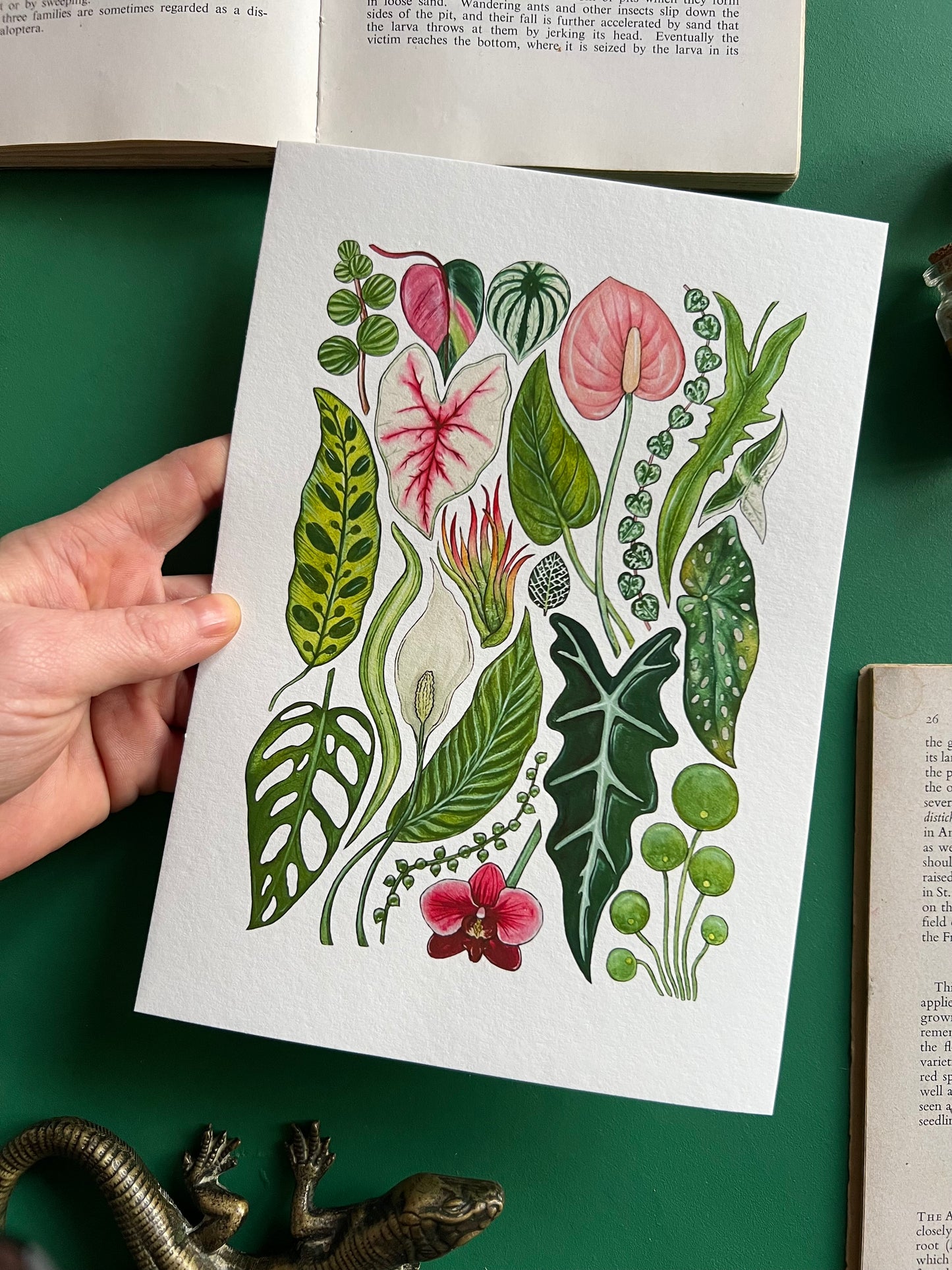 House Plants Print