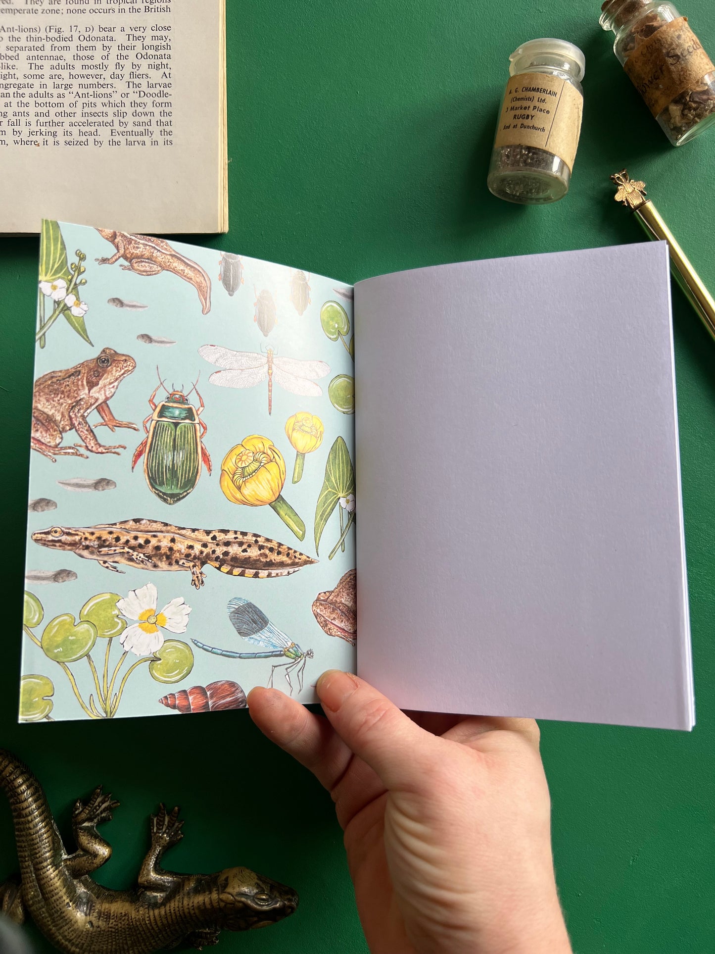 Pond Life Pocket Notebook