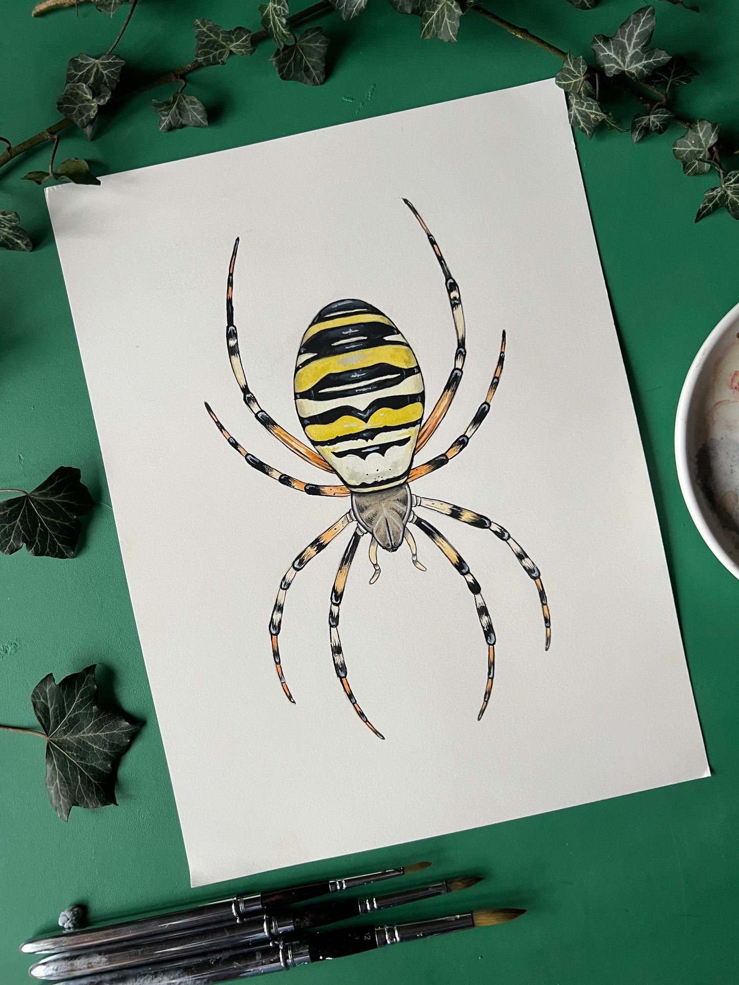 Wasp Spider