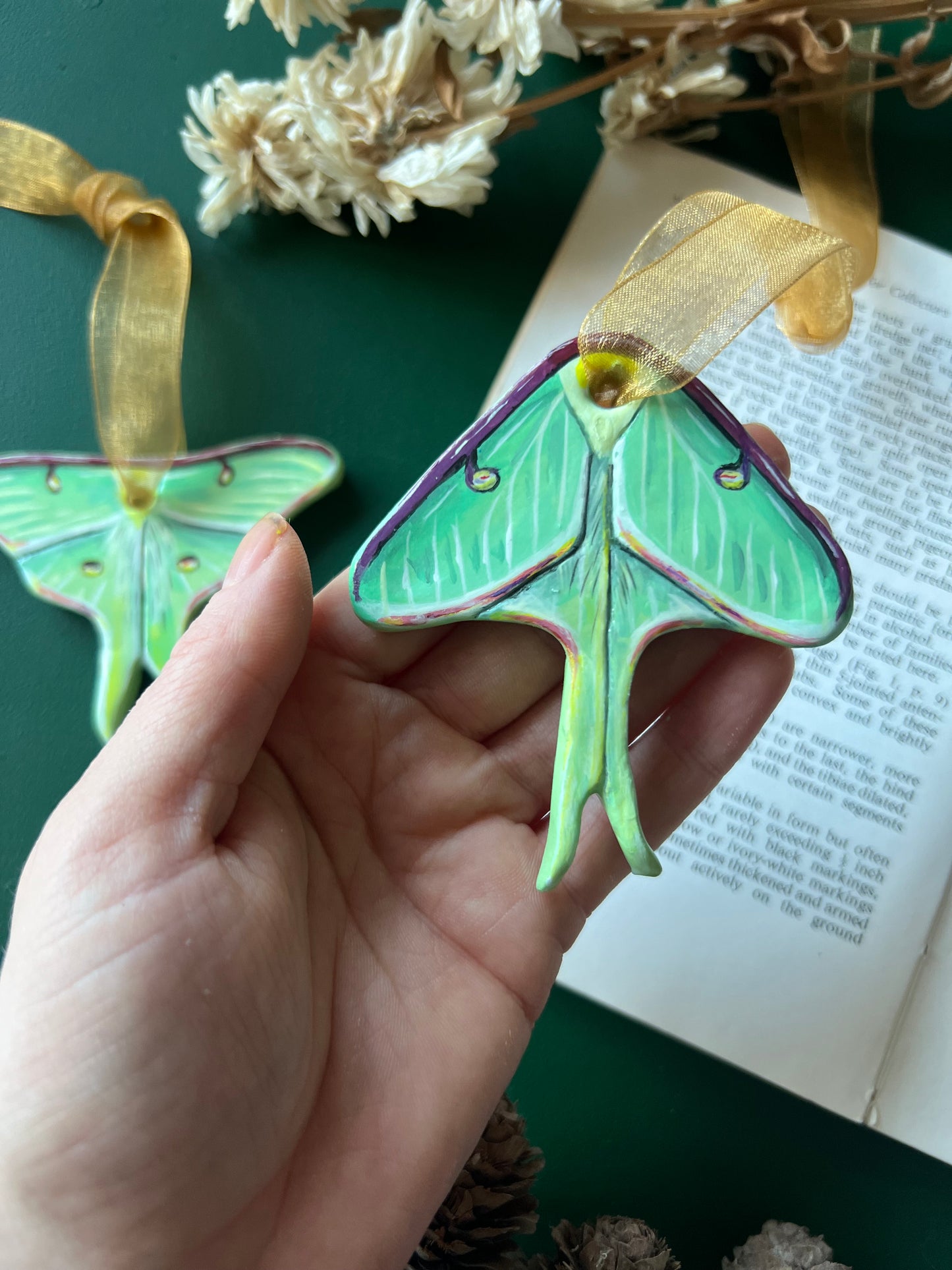 Luna Moth 1