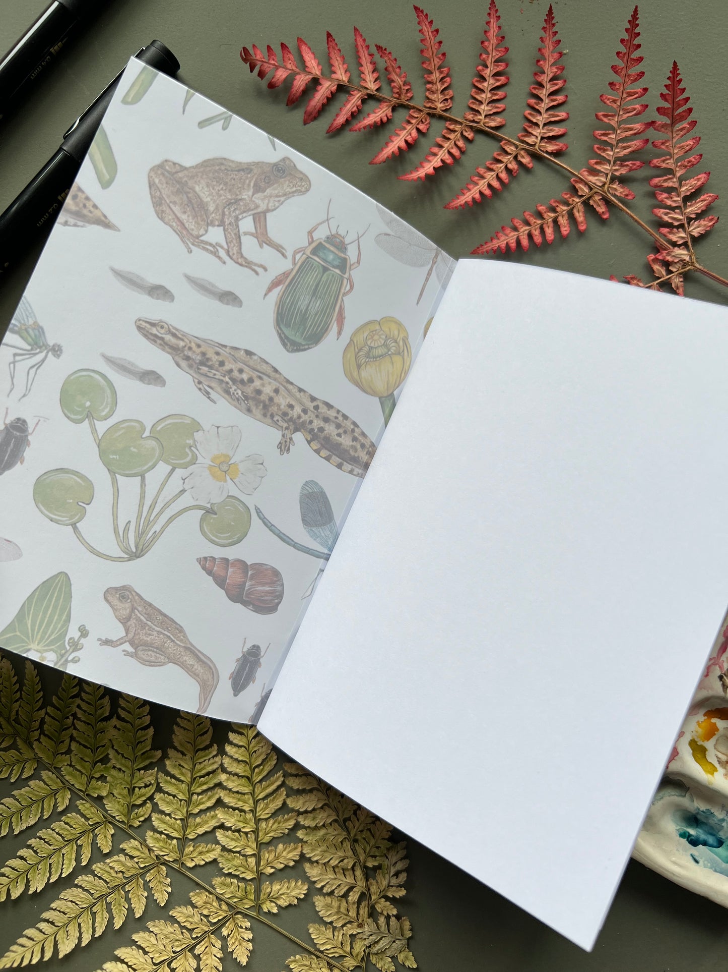 Pond Life Pocket Notebook