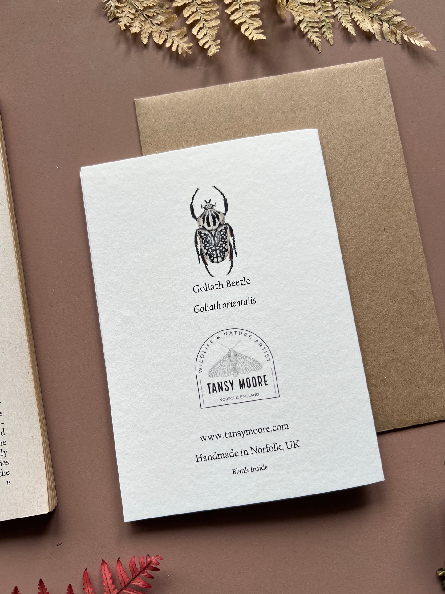 Goliath Beetle Card