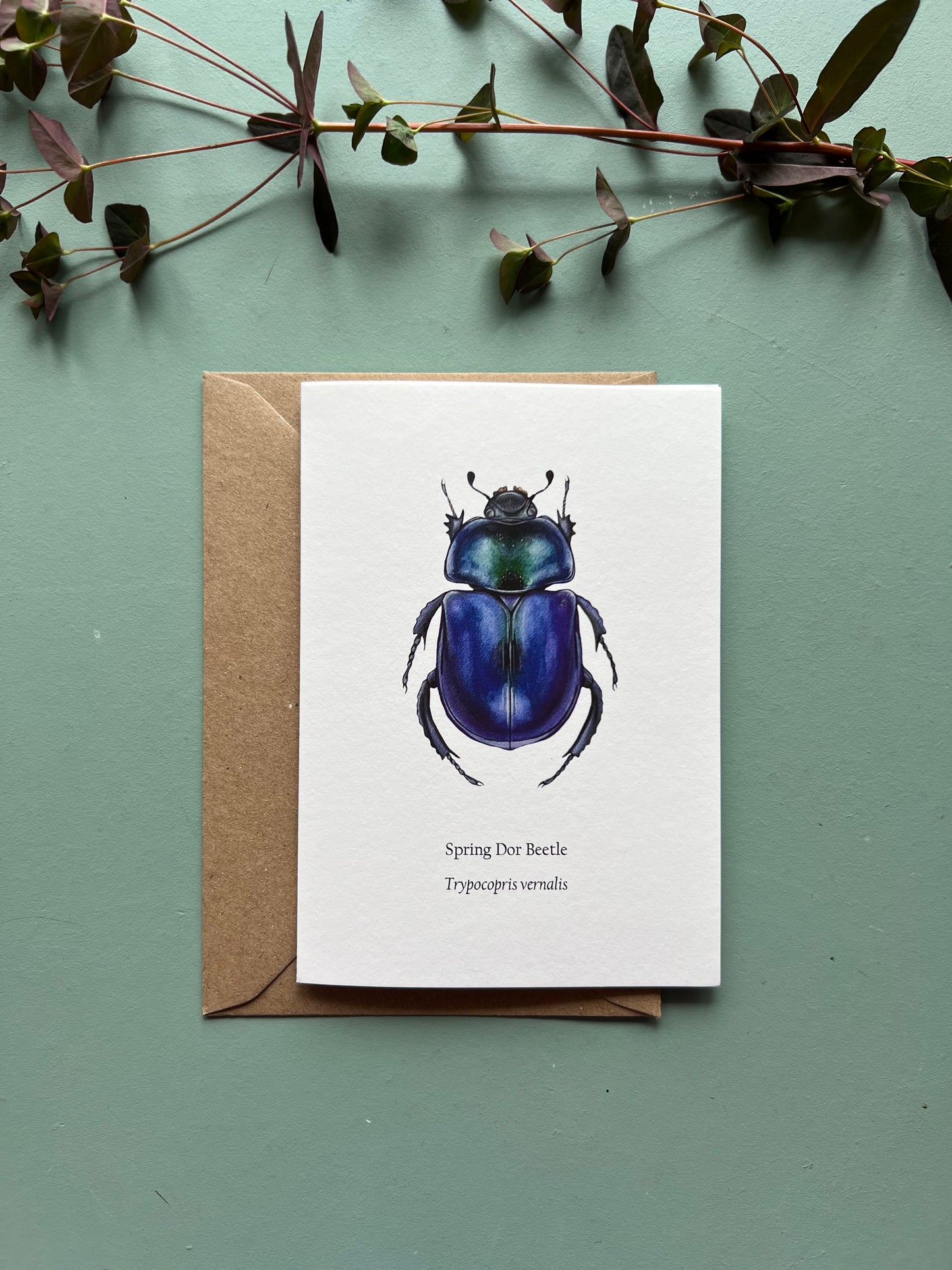 Spring Dor Beetle Card