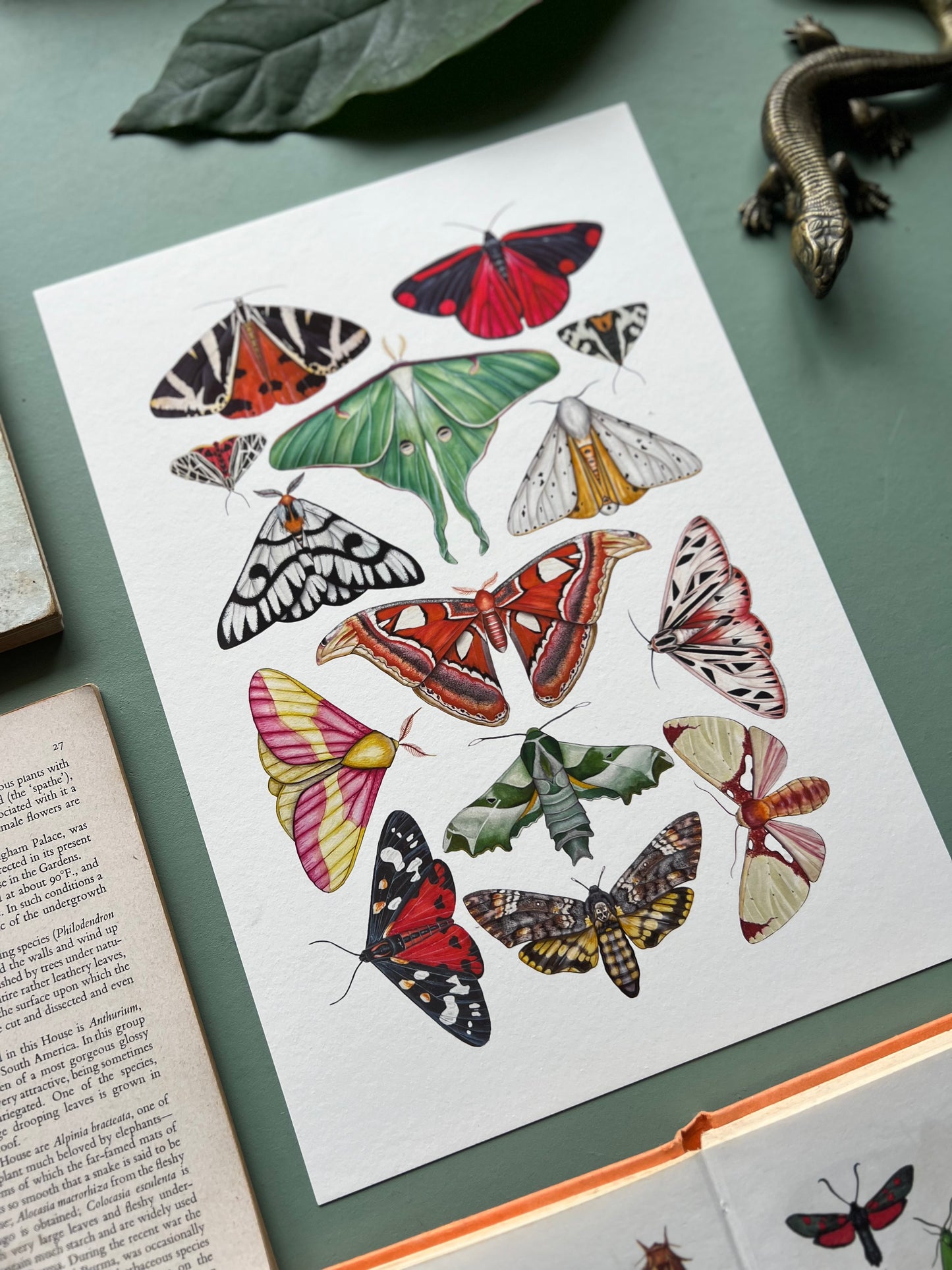 Moths Print