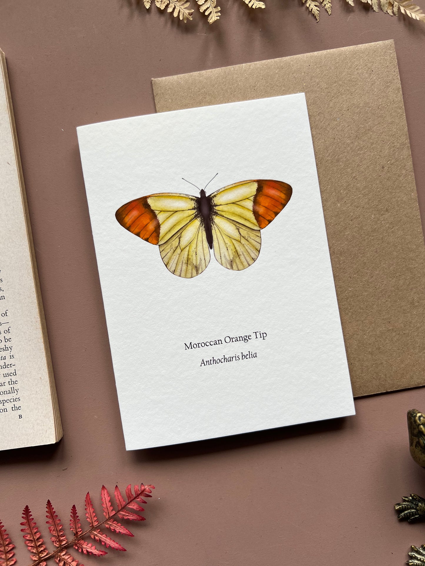 Moroccan Orange Tip Card