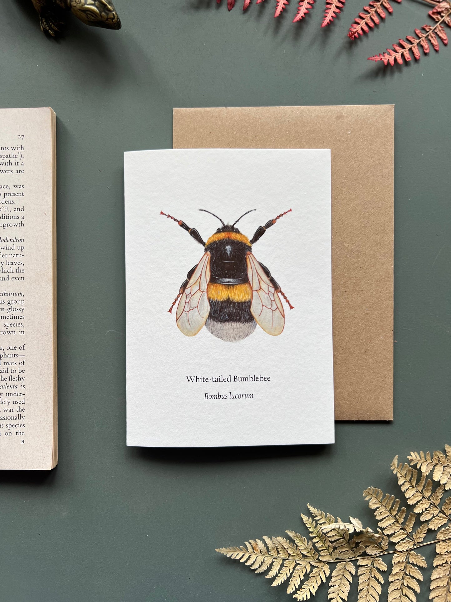 White tailed Bumblebee Card