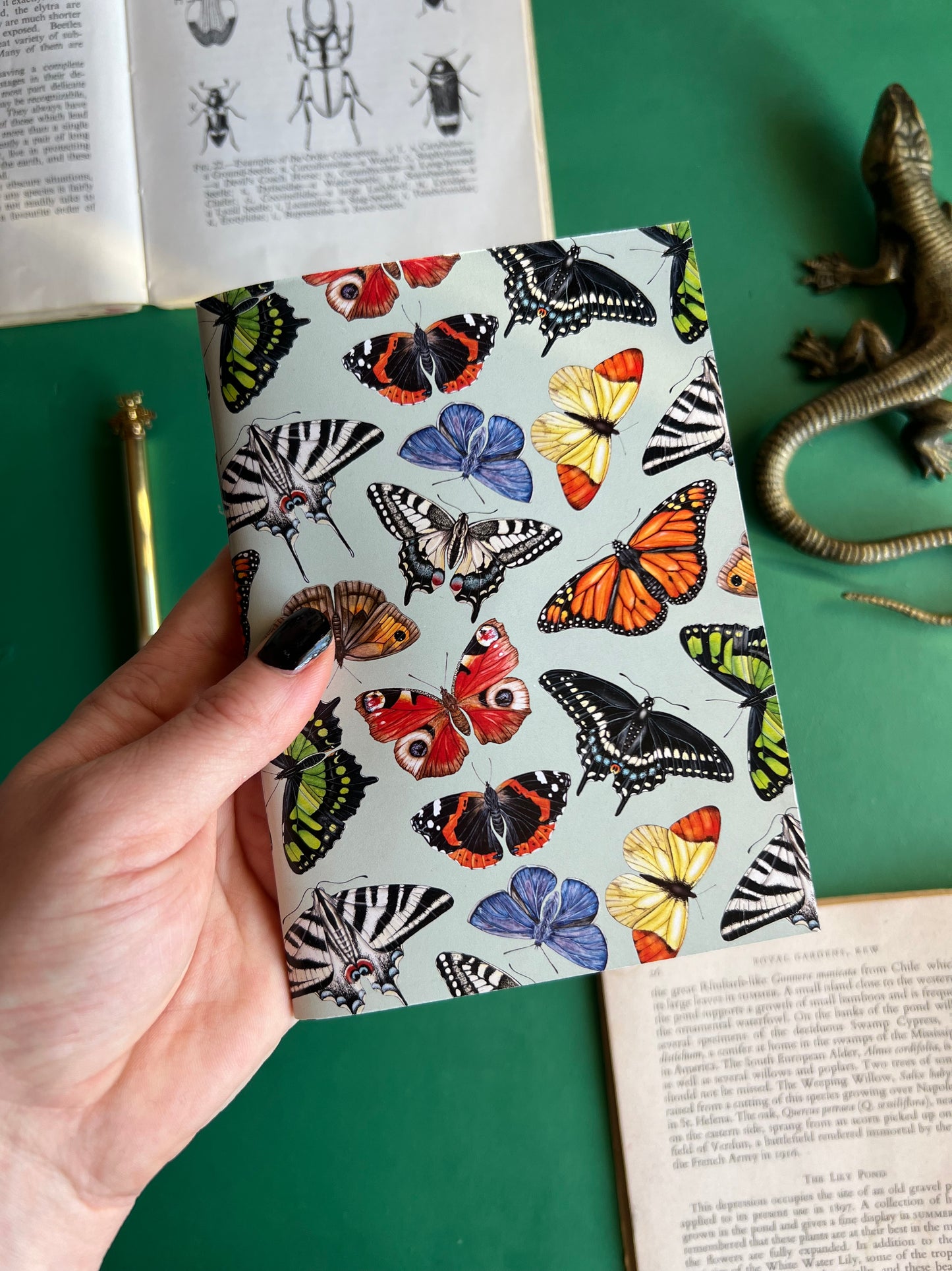 Butterflies Pocket Notebook