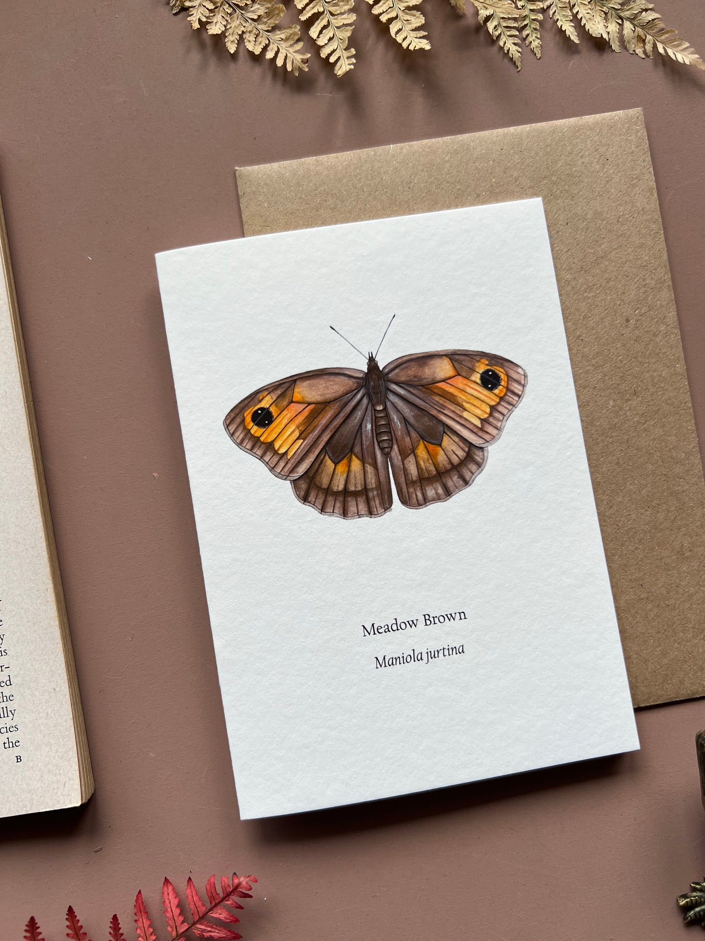 Meadow Brown Card