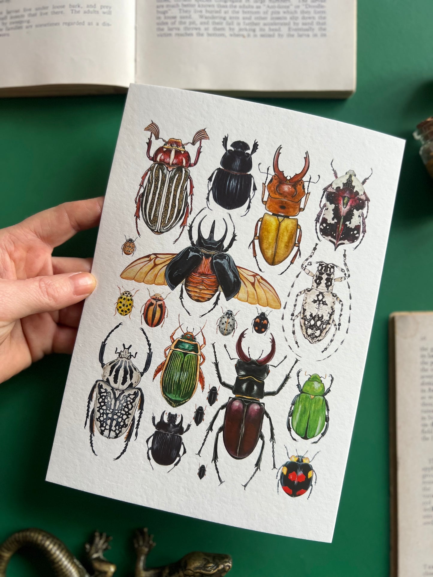 Beetles Print