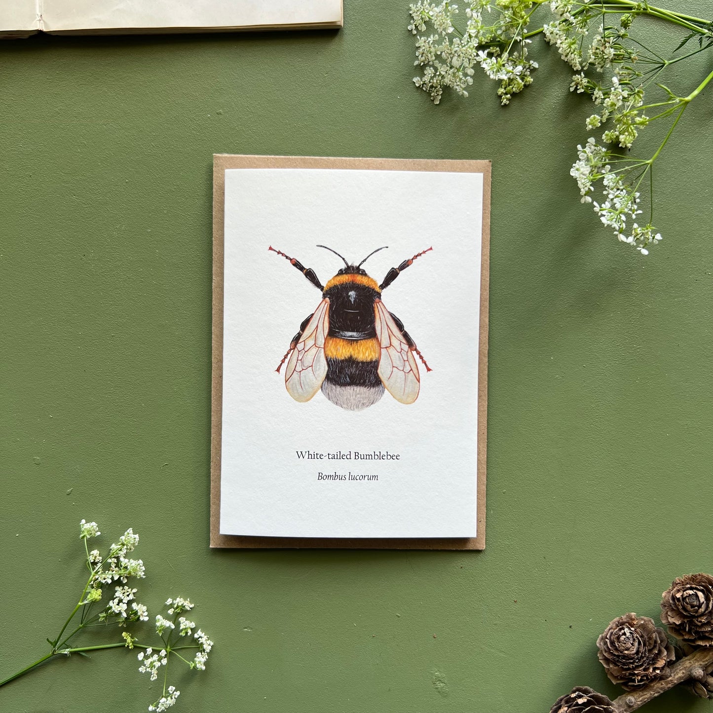 White tailed Bumblebee Card