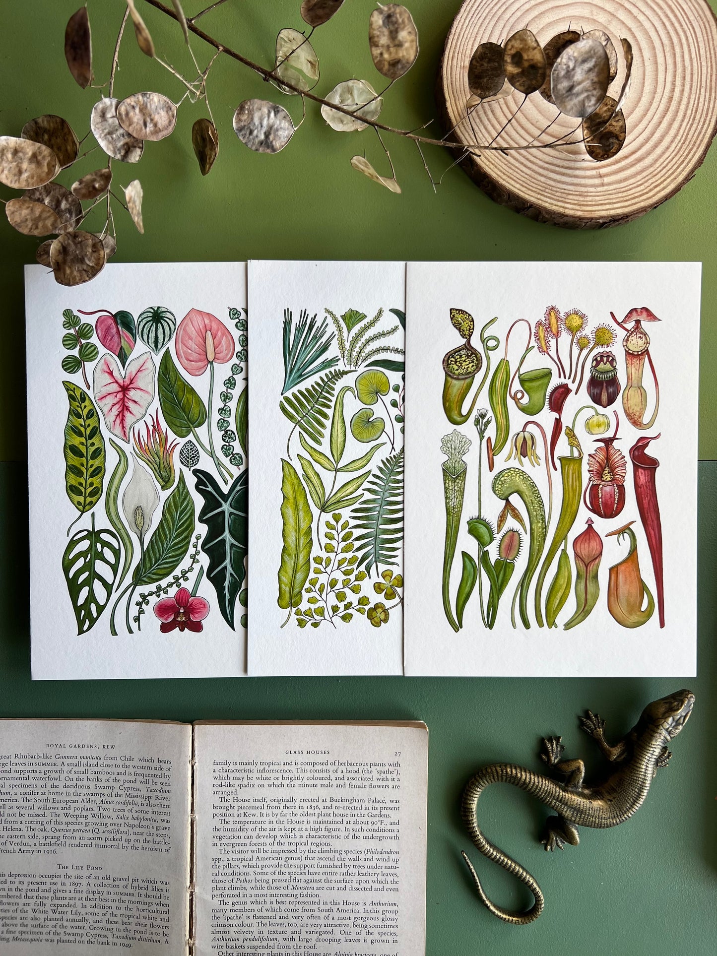 Plants Print Set