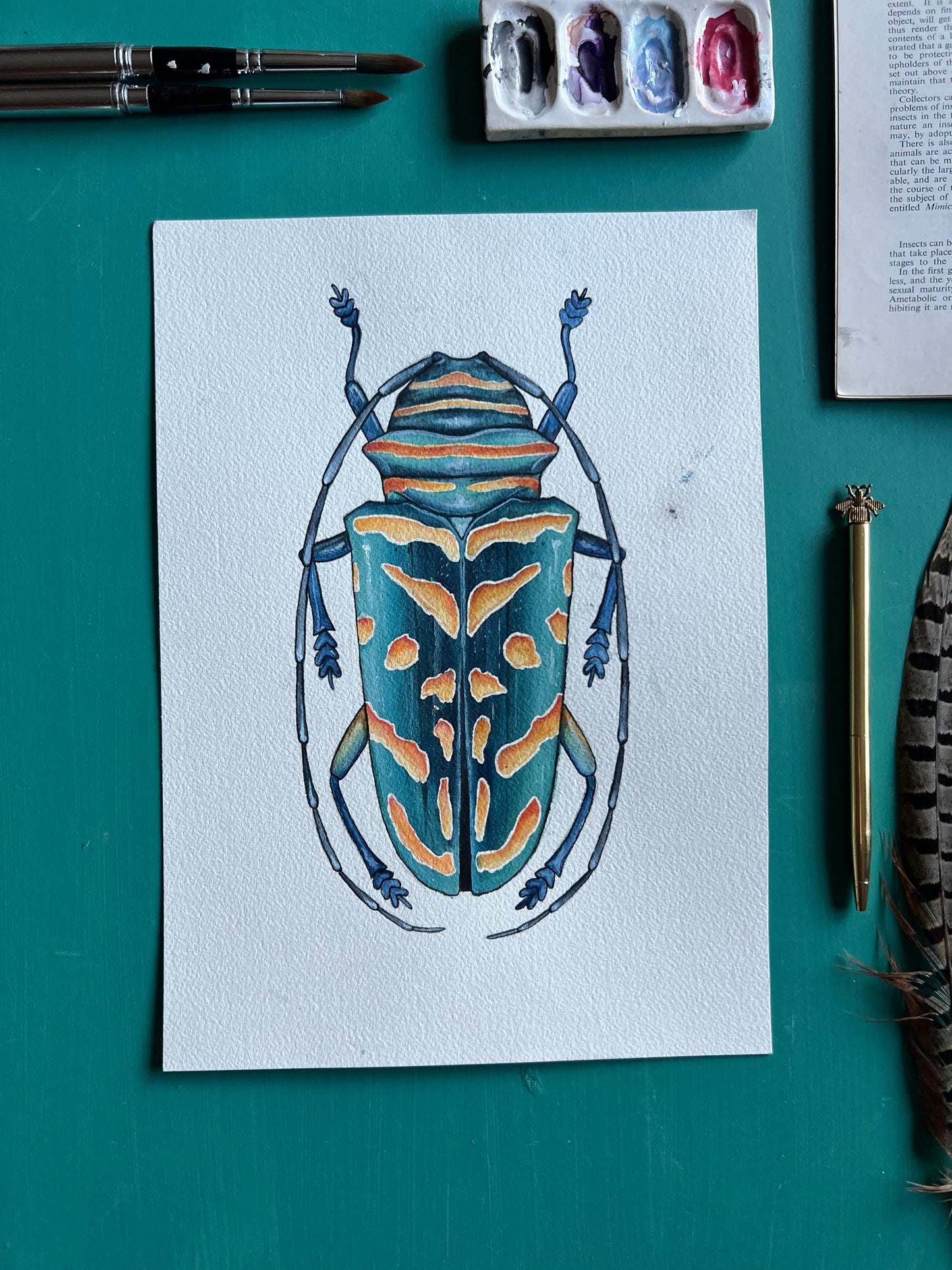 Jewel Longhorn Beetle