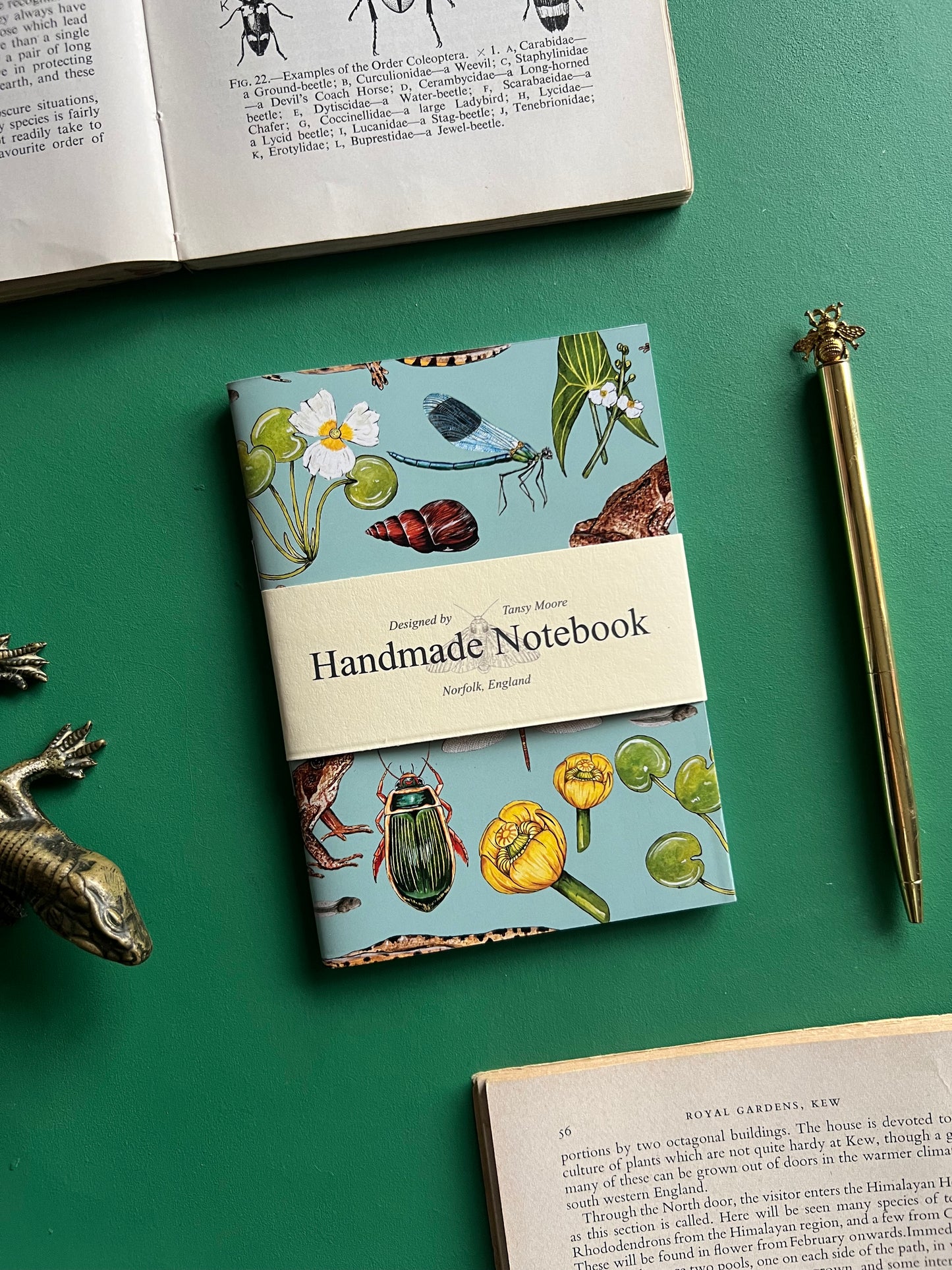 Pond Life Pocket Notebook