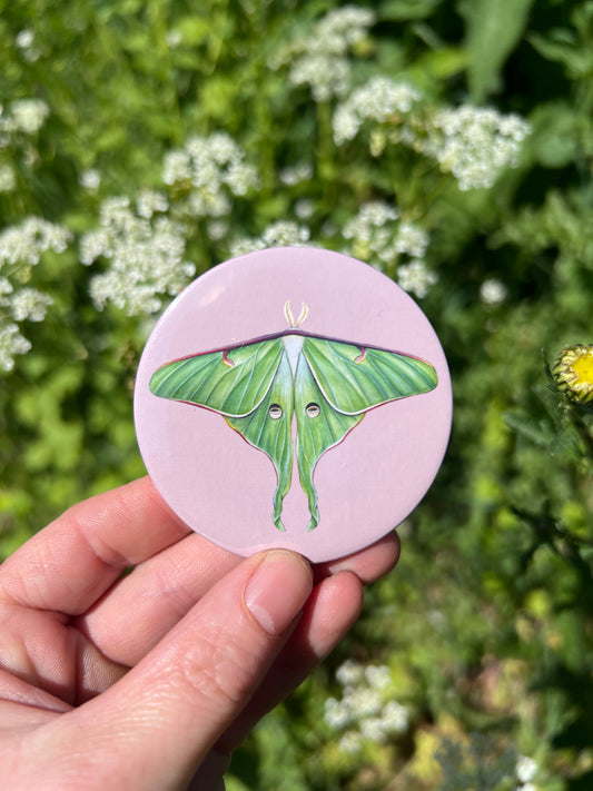 Luna Moth Pocket Mirror