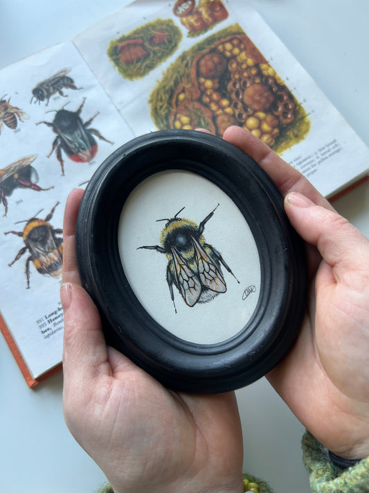 Garden Bumblebee
