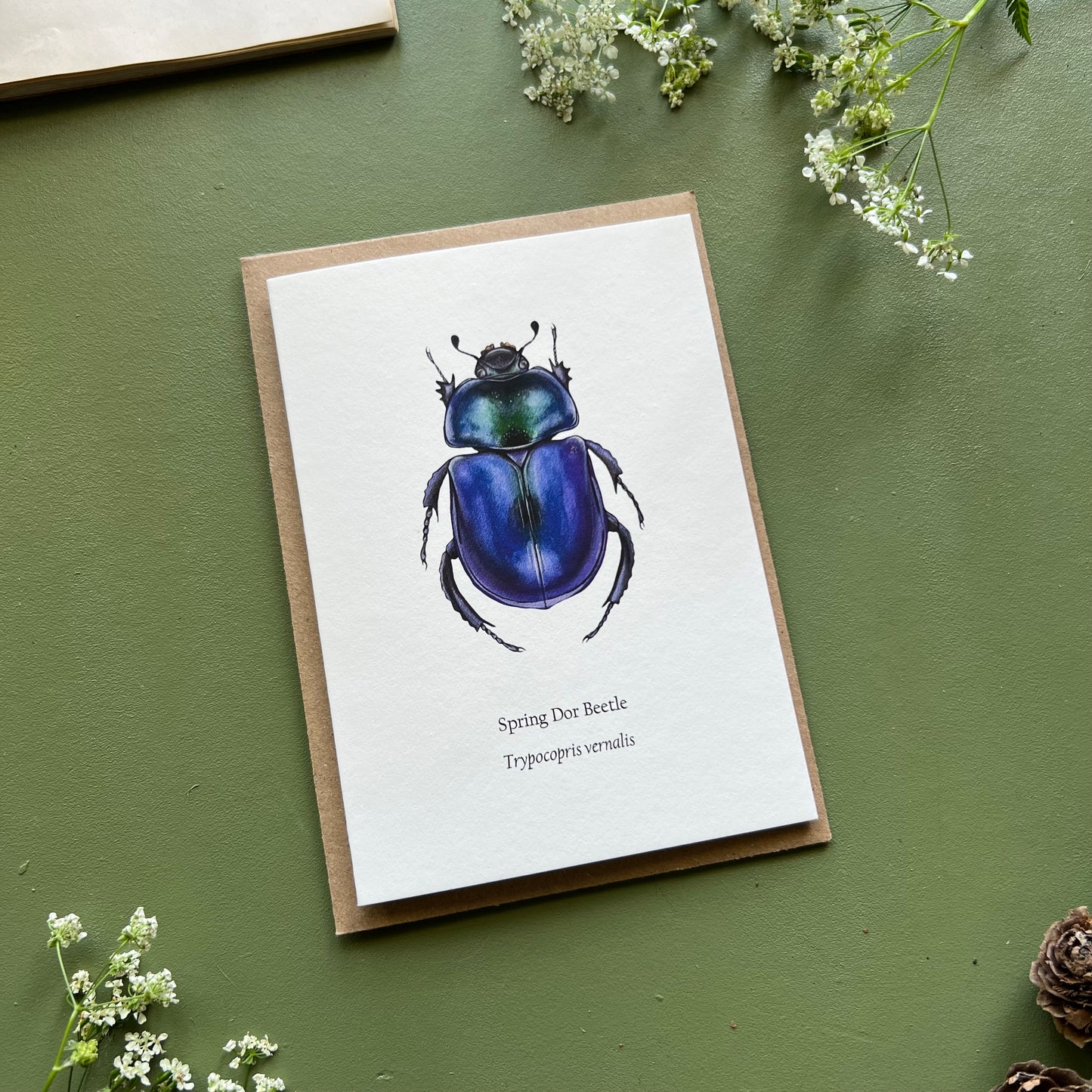 Spring Dor Beetle Card