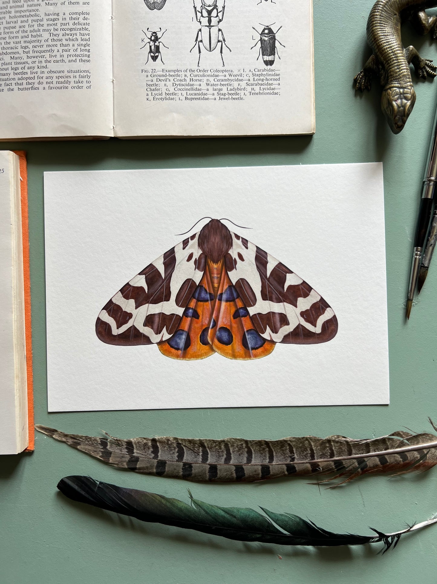 Garden Tiger Moth Print