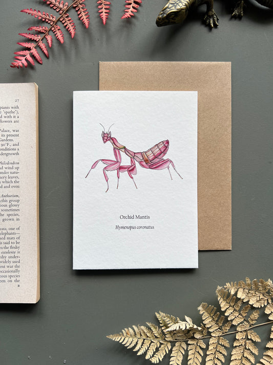 Orchid Mantis Card