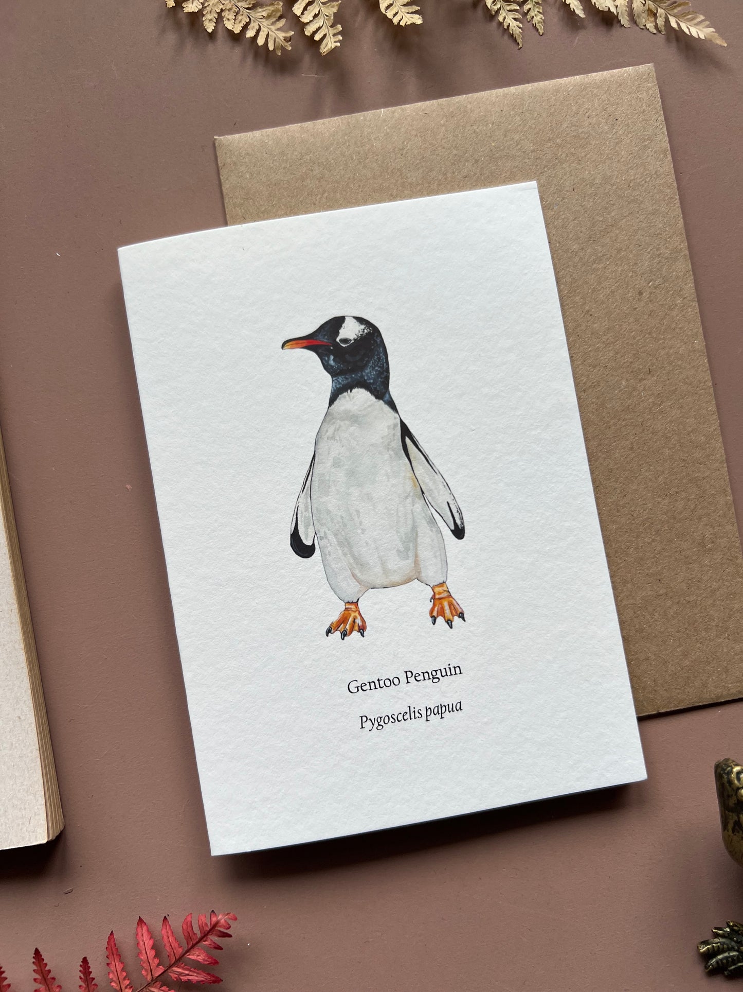 Gentoo Penguin Card