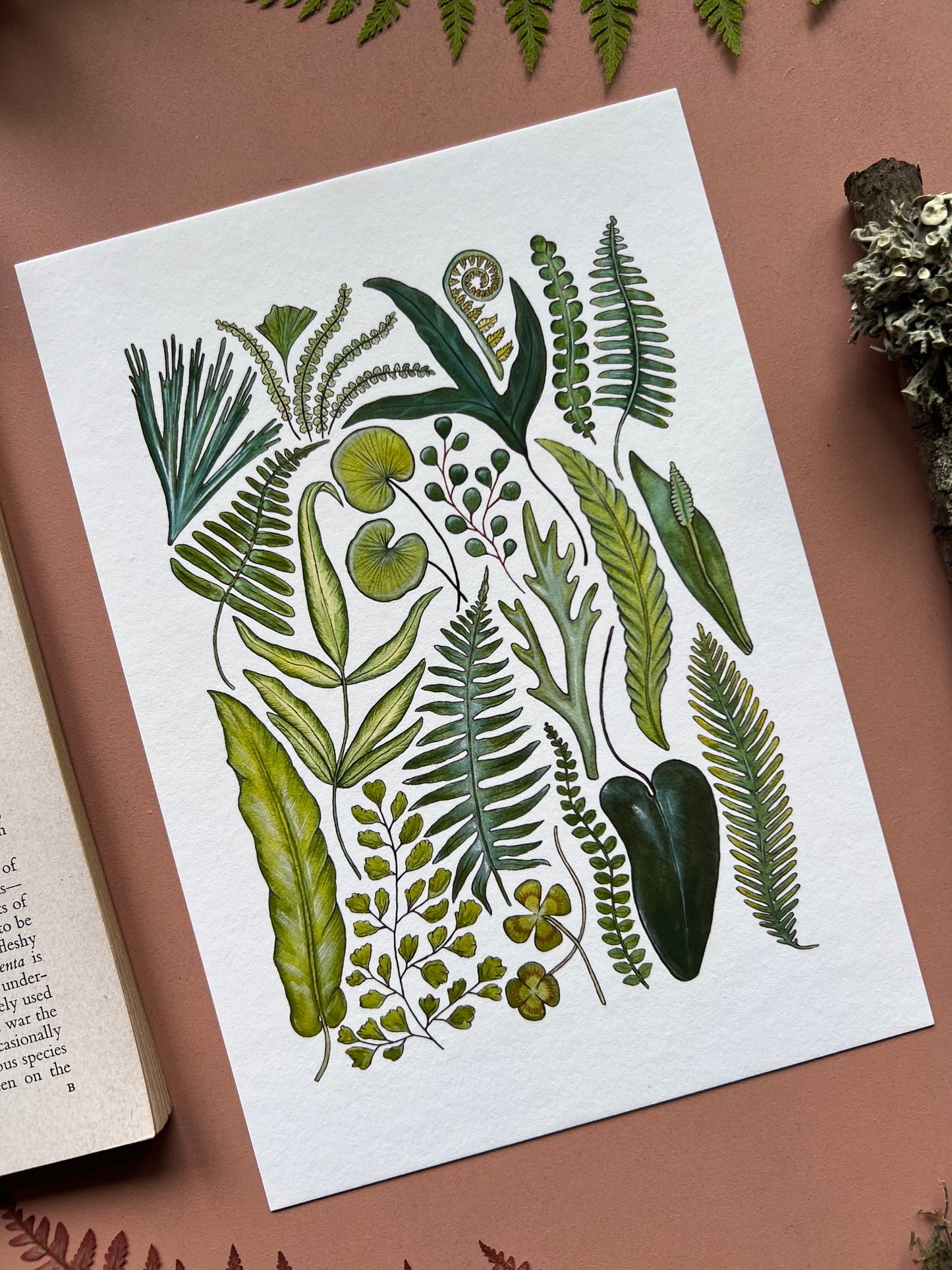 Fern Print